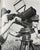 WWII Carl Zeiss Binoculars with Adjustable Tripod
